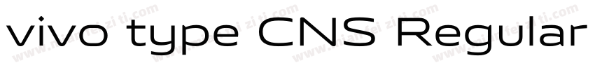 vivo type CNS Regular  GB1 0 GBpc E字体转换